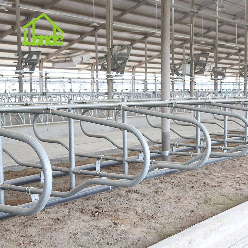 4-Bend Cattle Freestall Loop Divider best