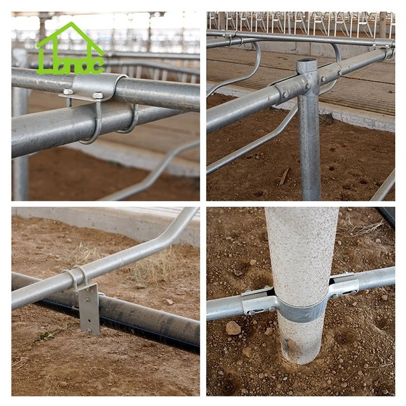 4-Bend Cattle Freestall Loop Divider high quality